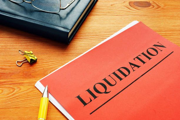 Court has wide powers to appoint company administrator