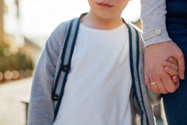 How do Maltese Courts determine care and custody disputes?