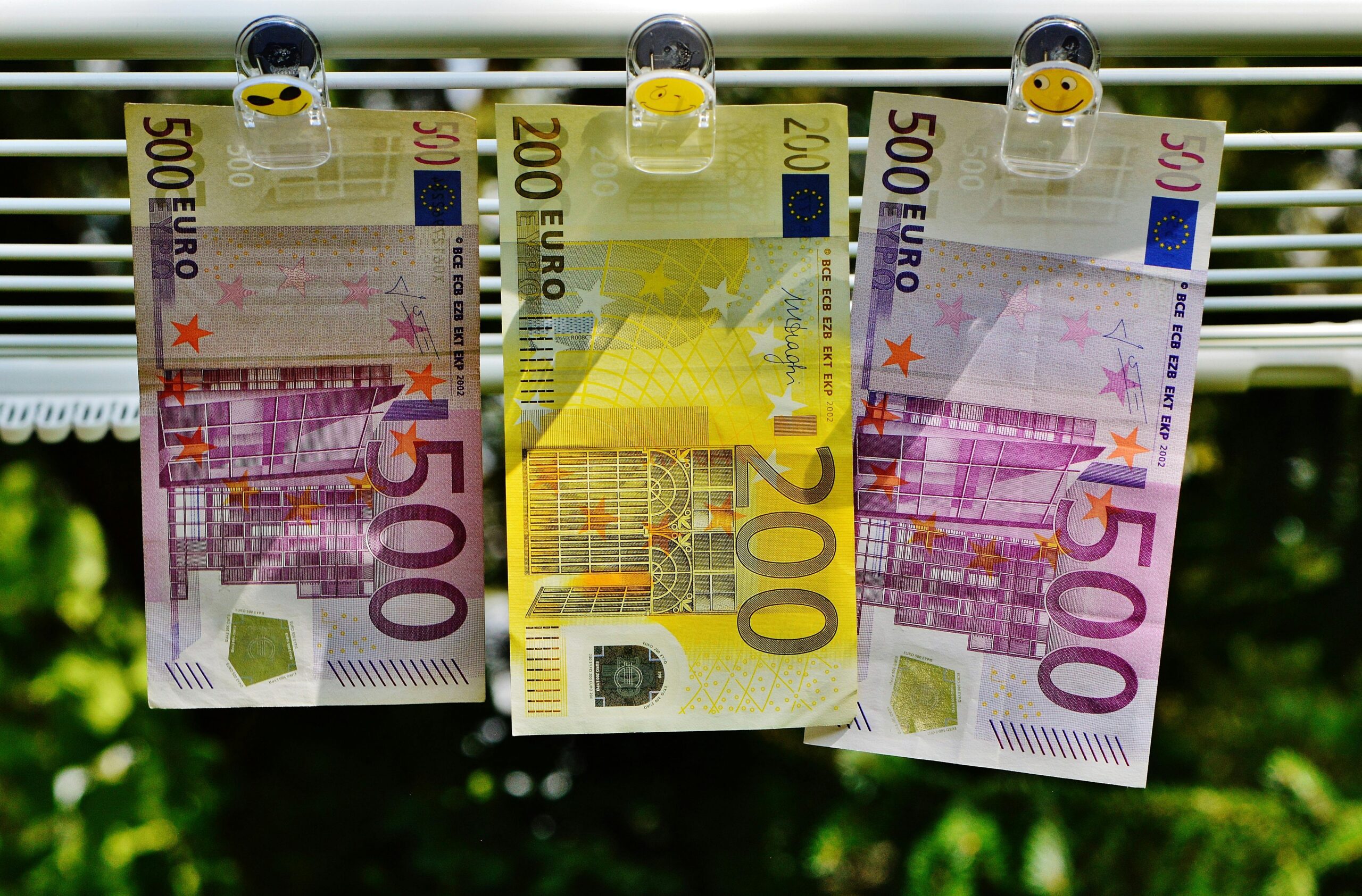 Anti-Money Laundering Directive provision requiring public access to information