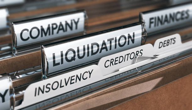Once a company does not pay its debts the court may liquidate it