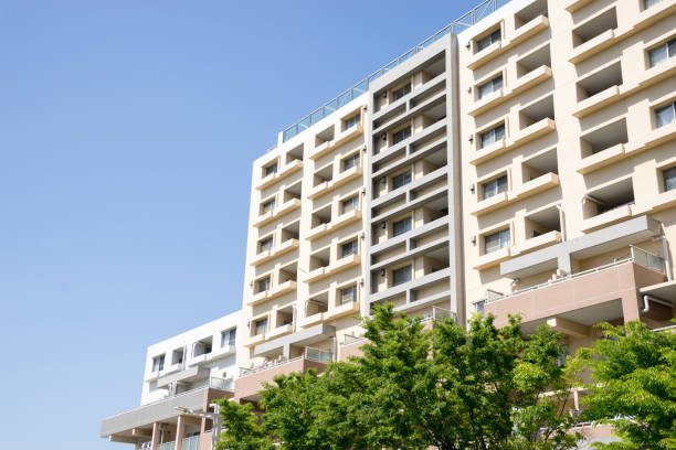 Developer to bear expenses for reconstructing a common party wall when the bearing capacity of the wall is exceeded