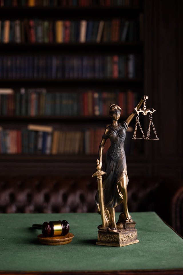 Defendant cannot raise new pleas in appeal stage